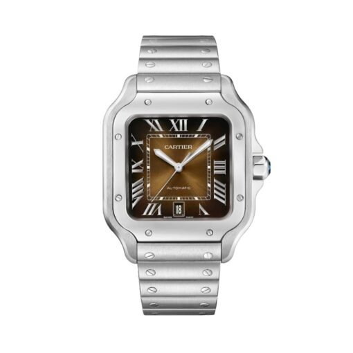 Cartier WSSA0064 Santos de Cartier Graduated Brown Dial Large
