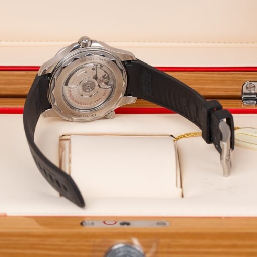 Omega 210.32.42.20.01.001 Seamaster Diver 300m Co-Axial Master 42mm - Image 5